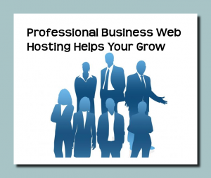 Professional Business Web Hosting Helps You Grow