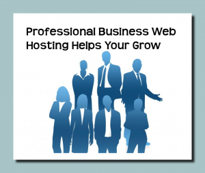 Professional Business Web Hosting Helps You Grow Professional Business Web Hosting Helps You Grow